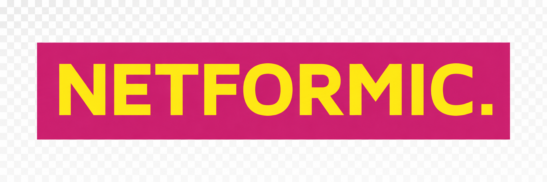 NETFORMIC GmbH